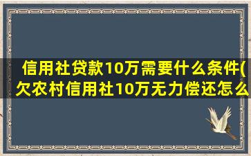 信用社贷款10万需要什么条件(欠农村信用社10万无力偿还怎么办)