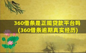 360借条是正规贷款平台吗(360借条逾期真实经历)