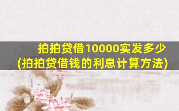 拍拍贷借10000实发多少(拍拍贷借钱的利息计算方法)