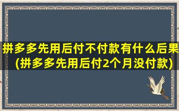 拼多多先用后付不付款有什么后果(拼多多先用后付2个月没付款)