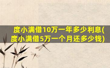 度小满借10万一年多少利息(度小满借5万一个月还多少钱)