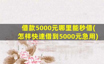 借款5000元哪里能秒借(怎样快速借到5000元急用)