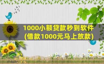 1000小额贷款秒到软件(借款1000元马上放款)