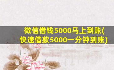 微信借钱5000马上到账(快速借款5000一分钟到账)