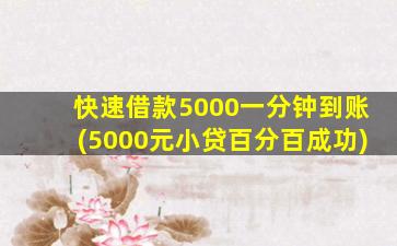 快速借款5000一分钟到账(5000元小贷百分百成功)