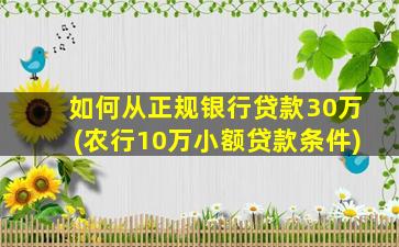 如何从正规银行贷款30万(农行10万小额贷款条件)