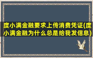 度小满金融要求上传消费凭证(度小满金融为什么总是给我发信息)