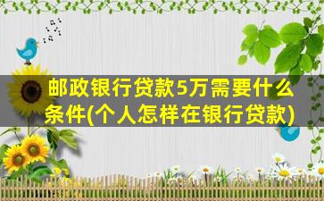 邮政银行贷款5万需要什么条件(个人怎样在银行贷款)