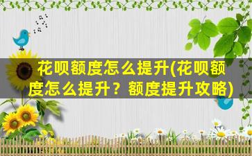 花呗额度怎么提升(花呗额度怎么提升？额度提升攻略)