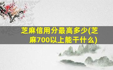 芝麻信用分最高多少(芝麻700以上能干什么)