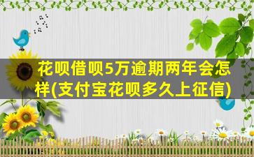 花呗借呗5万逾期两年会怎样(支付宝花呗多久上征信)