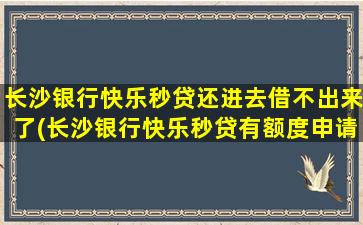 长沙银行快乐秒贷还进去借不出来了(长沙银行快乐秒贷有额度申请不成功)