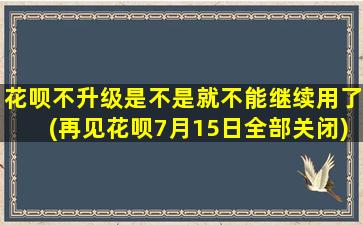 花呗不升级是不是就不能继续用了(再见花呗7月15日全部关闭)