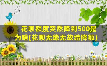 花呗额度突然降到500是为啥(花呗无缘无故给降额)