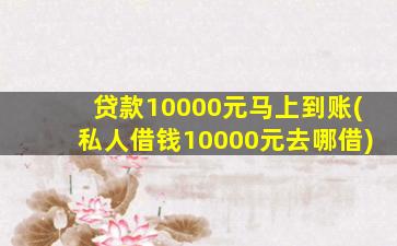 贷款10000元马上到账(私人借钱10000元去哪借)