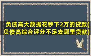 负债高大数据花秒下2万的贷款(负债高综合评分不足去哪里贷款)