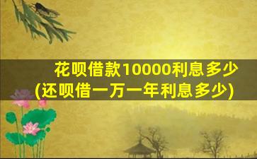 花呗借款10000利息多少(还呗借一万一年利息多少)