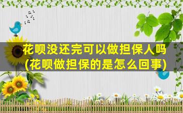 花呗没还完可以做担保人吗(花呗做担保的是怎么回事)