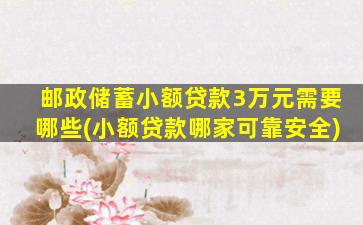 邮政储蓄小额贷款3万元需要哪些(小额贷款哪家可靠安全)