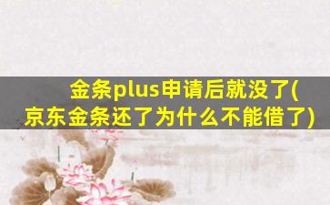 金条plus申请后就没了(京东金条还了为什么不能借了)