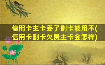 信用卡主卡丢了副卡能用不(信用卡副卡欠费主卡会怎样)