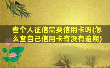 查个人征信需要信用卡吗(怎么查自己信用卡有没有逾期)