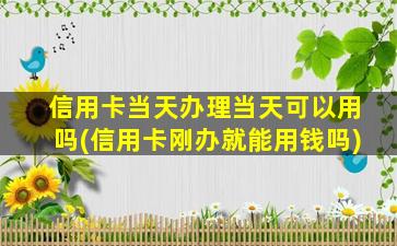 信用卡当天办理当天可以用吗(信用卡刚办就能用钱吗)