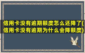 信用卡没有逾期额度怎么还降了(信用卡没有逾期为什么会降额度)