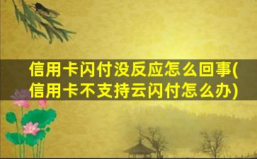 信用卡闪付没反应怎么回事(信用卡不支持云闪付怎么办)