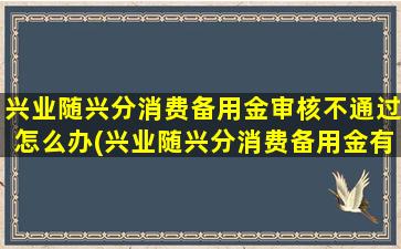 兴业随兴分消费备用金审核不通过怎么办(兴业随兴分消费备用金有额度没过)