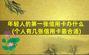 年轻人的第一张信用卡办什么(个人有几张信用卡最合适)