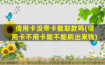 信用卡没带卡能取款吗(信用卡不用卡能不能刷出来钱)