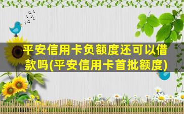 平安信用卡负额度还可以借款吗(平安信用卡首批额度)