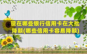 现在哪些银行信用卡在大批降额(哪些信用卡容易降额)