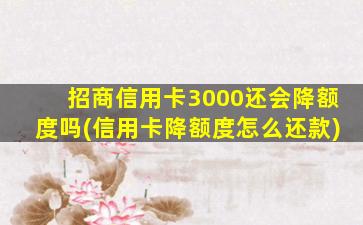 招商信用卡3000还会降额度吗(信用卡降额度怎么还款)