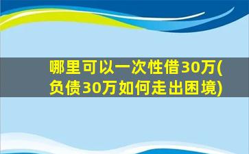 哪里可以一次性借30万(负债30万如何走出困境)