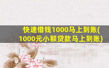 快速借钱1000马上到账(1000元小额贷款马上到账)