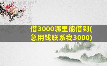 借3000哪里能借到(急用钱联系我3000)