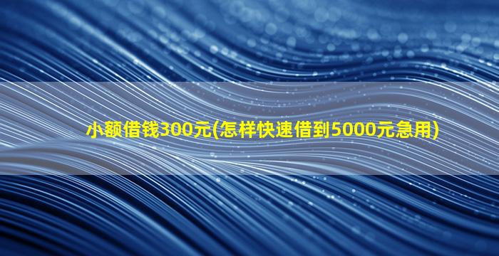 小额借钱300元(怎样快速借到5000元急用)