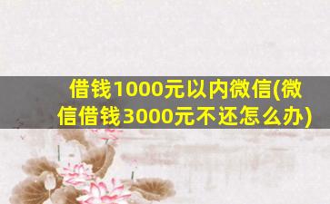 借钱1000元以内微信(微信借钱3000元不还怎么办)