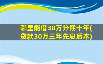 哪里能借30万分期十年(贷款30万三年先息后本)