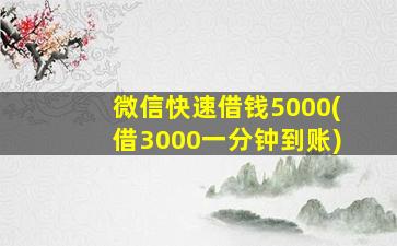 微信快速借钱5000(借3000一分钟到账)