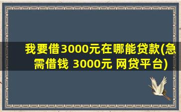 我要借3000元在哪能贷款(急需借钱 3000元 网贷平台)