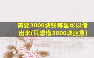 需要3000块钱哪里可以借出来(只想借3000块应急)