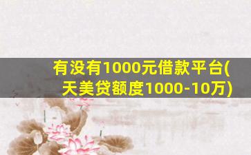 有没有1000元借款平台(天美贷额度1000-10万)