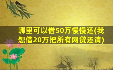 哪里可以借50万慢慢还(我想借20万把所有网贷还清)