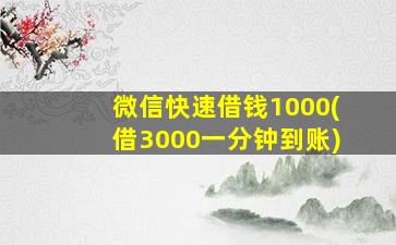 微信快速借钱1000(借3000一分钟到账)