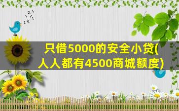 只借5000的安全小贷(人人都有4500商城额度)