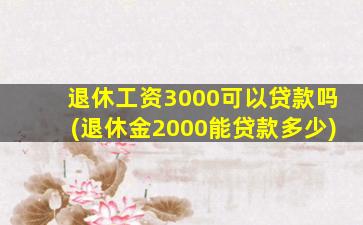 退休工资3000可以贷款吗(退休金2000能贷款多少)