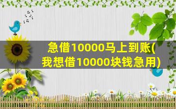 急借10000马上到账(我想借10000块钱急用)